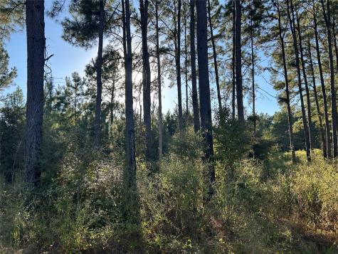 Tract 12a F M 230 Lovelady TX 77854