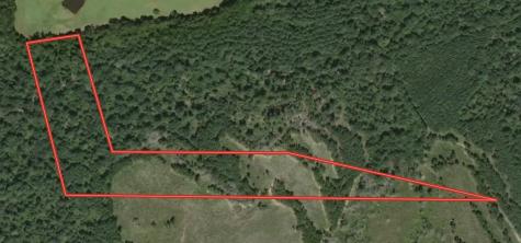 Tract 12a F M 230 Lovelady TX 77854