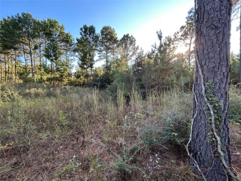 Tract 12a F M 230 Lovelady TX 77854