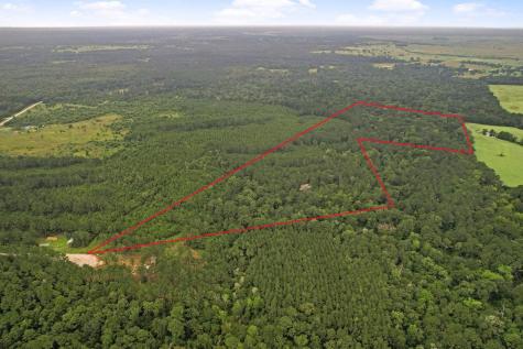 Tract 12a F M 230 Lovelady TX 77854