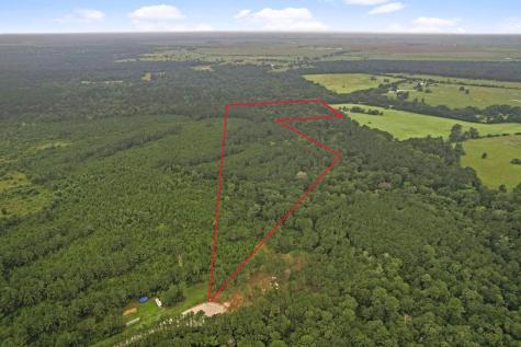 Tract 12a F M 230 Lovelady TX 77854