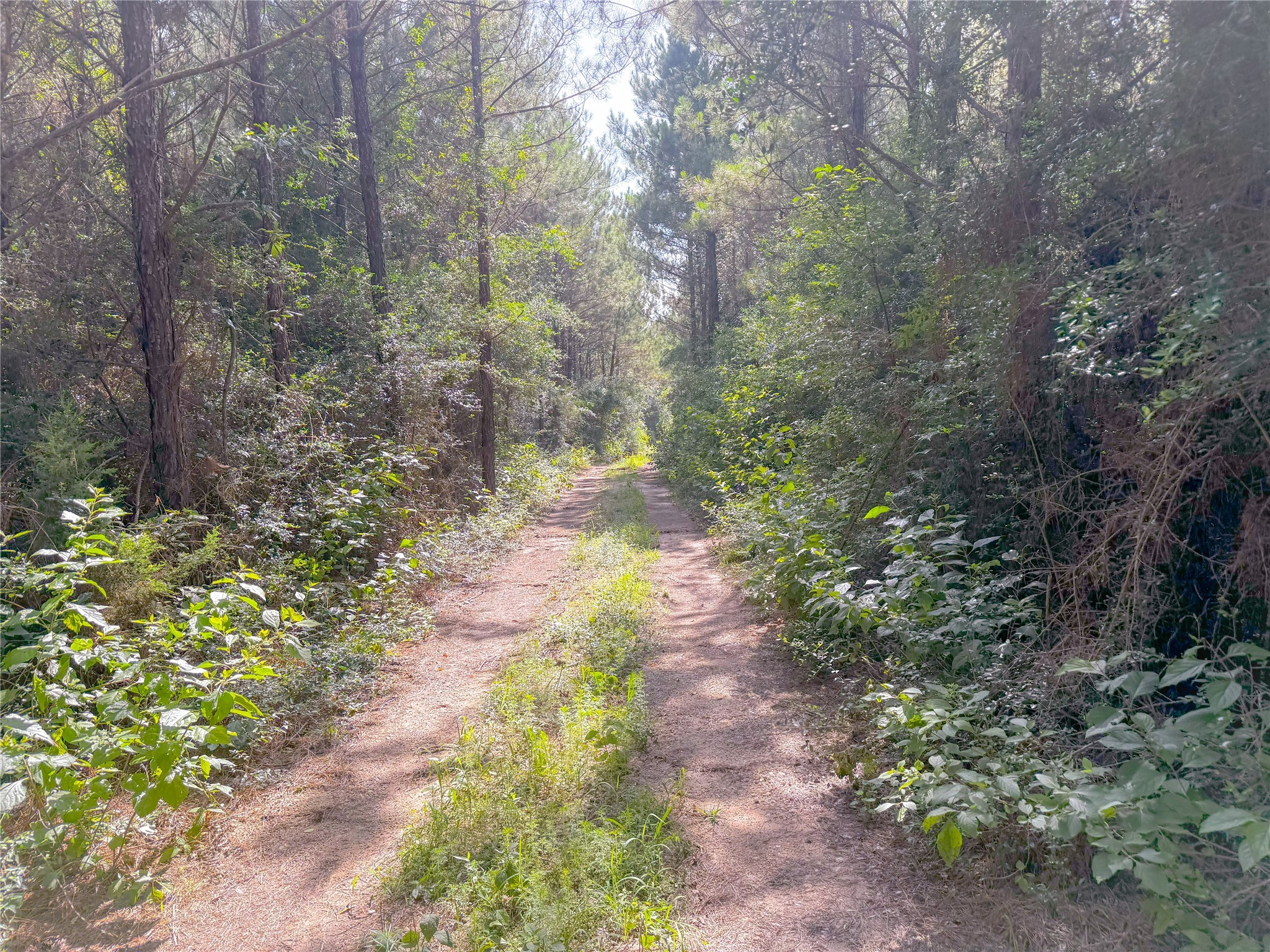 0 County Road 2650 Cleveland TX 77327