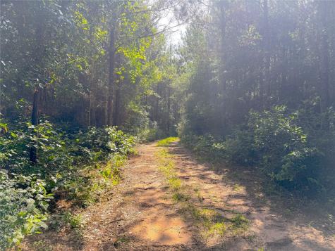 0 County Road 2650 Cleveland TX 77327
