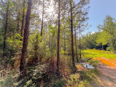 0 County Road 2650 Cleveland TX 77327