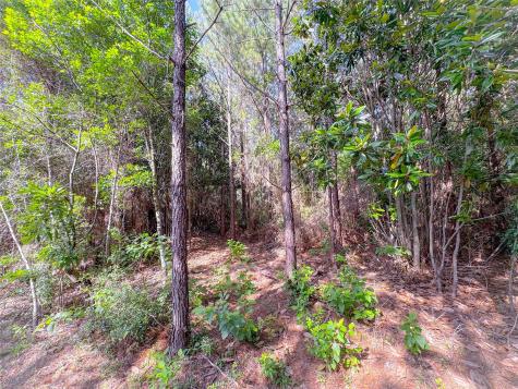 0 County Road 2650 Cleveland TX 77327