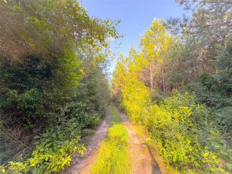 0 County Road 2650 Cleveland TX 77327