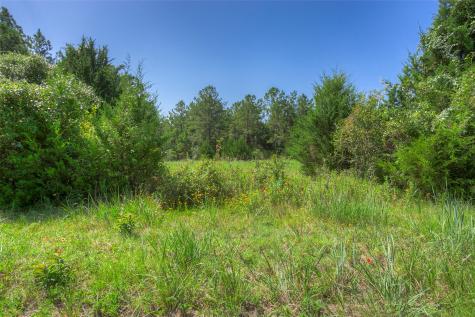 Tbd Hilltop Lane Huntsville TX 77340