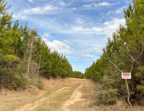 6 Fm 1746 Spurger TX 77660