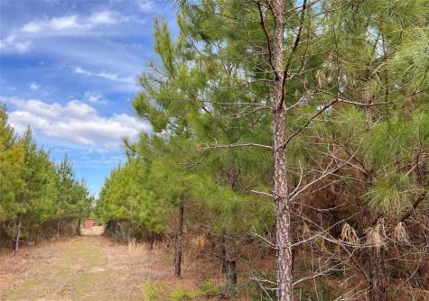 6 Fm 1746 Spurger TX 77660
