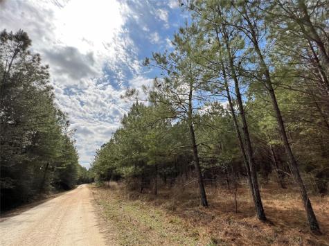 6 Fm 1746 Spurger TX 77660