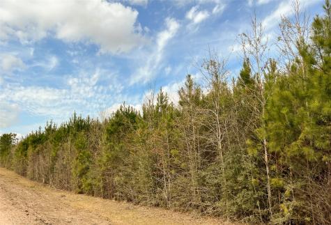 6 Fm 1746 Spurger TX 77660