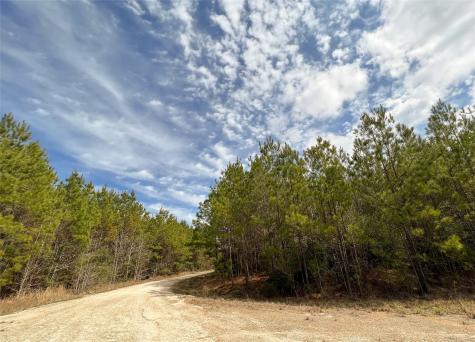 6 Fm 1746 Spurger TX 77660
