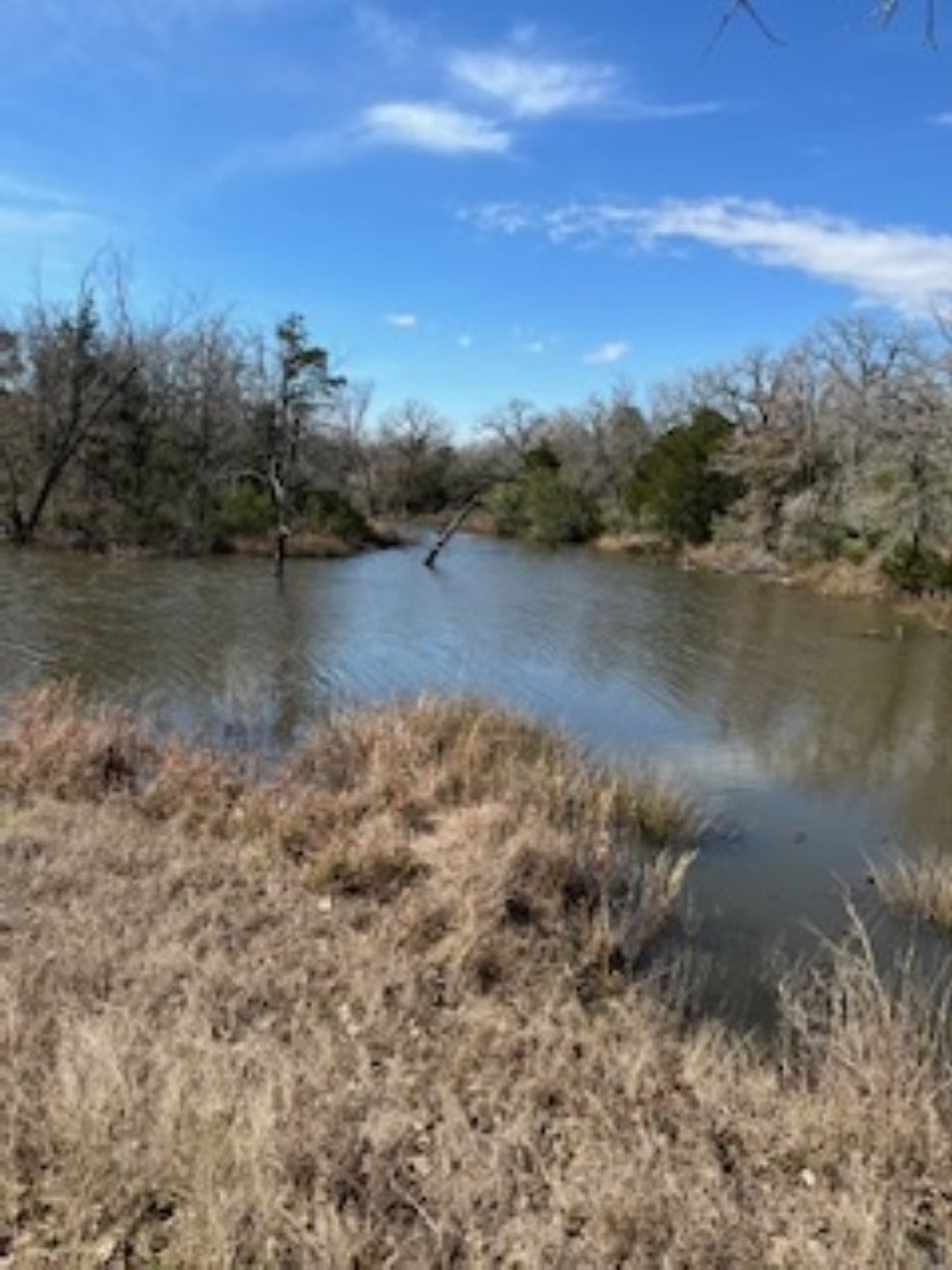 1132 County Road 418 Waelder TX 78959