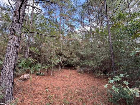 16-2-1 Grand View Huntsville TX 77340