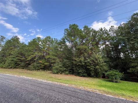 16-2-1 Grand View Huntsville TX 77340