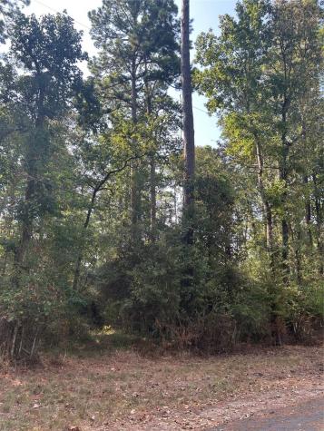 1920 Caldwell Street Livingston TX 77351