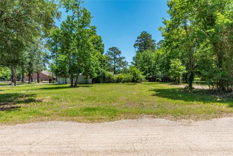 703 S Holly Avenue Cleveland TX 77327