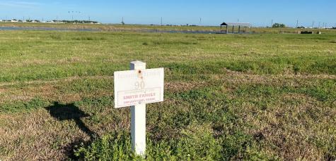 Lot 90 Sand Swept Point Port Lavaca TX 77979