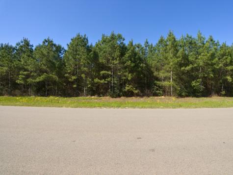 15761 Ridge Rock Road Willis TX 77378