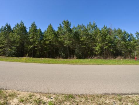 15761 Ridge Rock Road Willis TX 77378