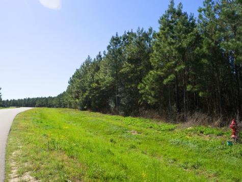 15761 Ridge Rock Road Willis TX 77378