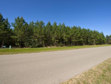 15761 Ridge Rock Road Willis TX 77378