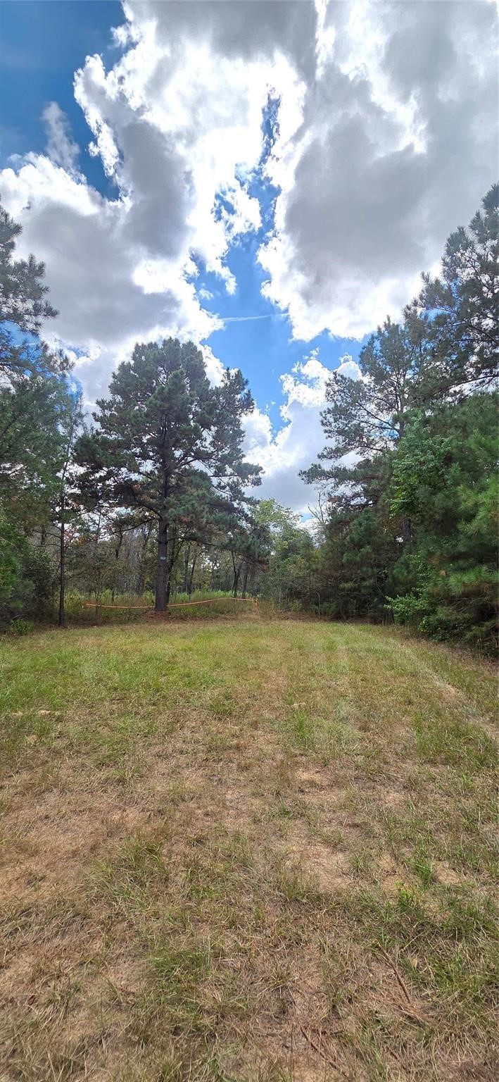 0 & 29699 Mcclellan Court W Hempstead TX 77355