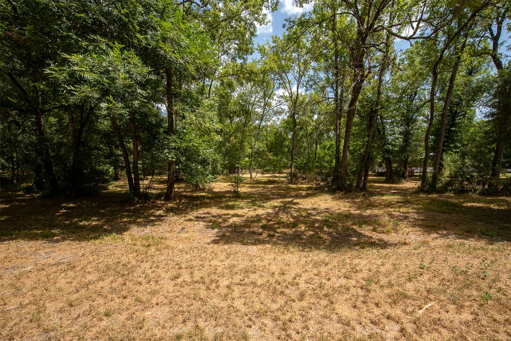 1926 Pecan Cove- Caldwell TX 77836