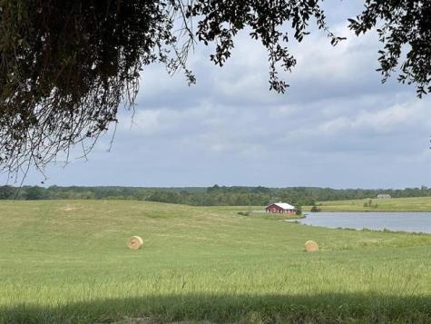 Tbd Lakeland Loop Lot 84 Hillister TX 77624
