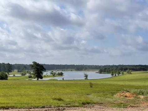 Tbd Lakeland Loop Lot 84 Hillister TX 77624