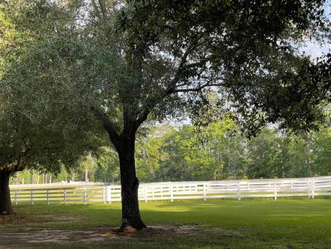 Tbd Lakeland Loop Lot 84 Hillister TX 77624
