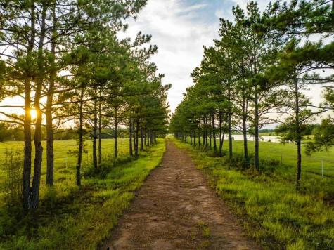 Tbd Lakeland Loop Lot 84 Hillister TX 77624
