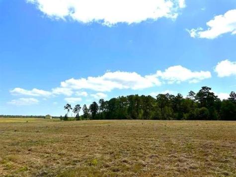 Tbd Lakeland Loop Lot 84 Hillister TX 77624