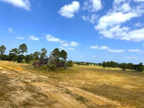 Tbd Lakeland Loop Lot 84 Hillister TX 77624