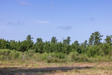 109 Old Sign Road Midway TX 75852