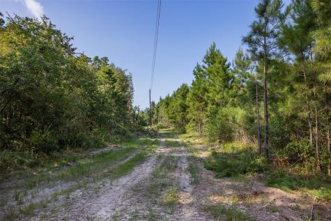 109 Old Sign Road Midway TX 75852