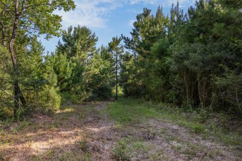 109 Old Sign Road Midway TX 75852