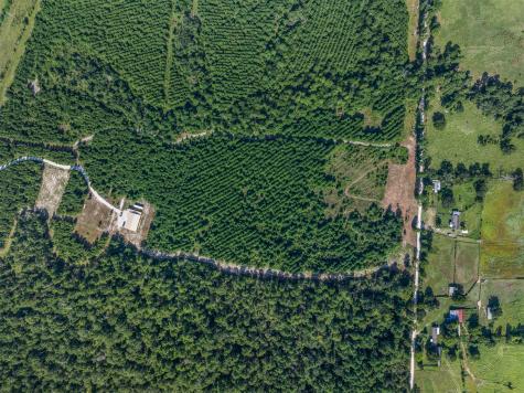 109 Old Sign Road Midway TX 75852