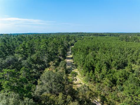 109 Old Sign Road Midway TX 75852
