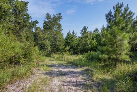 109 Old Sign Road Midway TX 75852