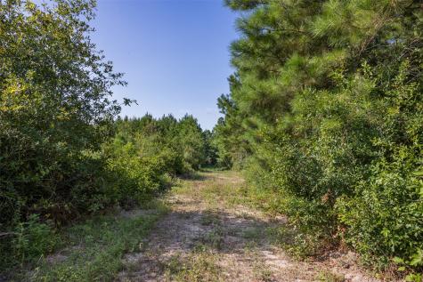 109 Old Sign Road Midway TX 75852