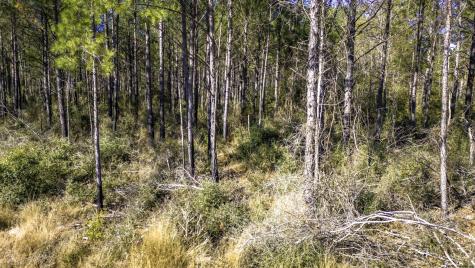 0413 Wells Landing Road Road Onalaska TX 77360