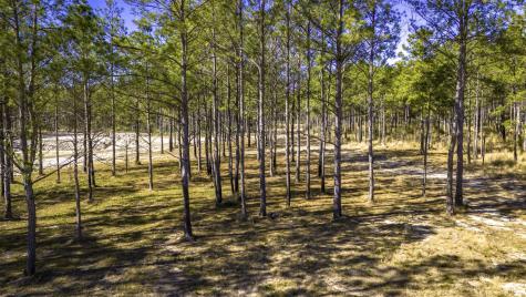 0413 Wells Landing Road Road Onalaska TX 77360