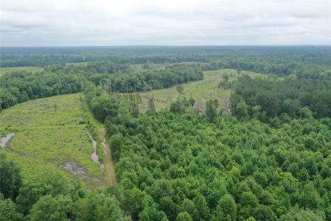 Tbd Cr 449- Socagee Creek Road Carthage TX 75633