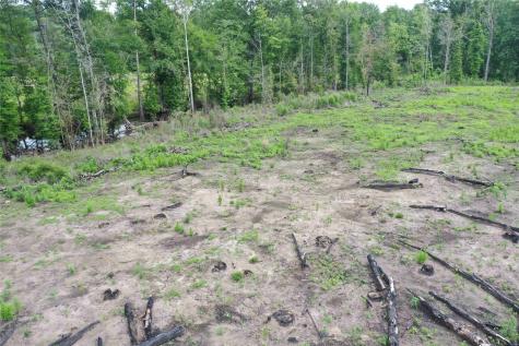 Tbd Cr 449- Socagee Creek Road Carthage TX 75633