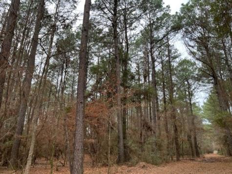 Tbd Cr 449- Socagee Creek Road Carthage TX 75633