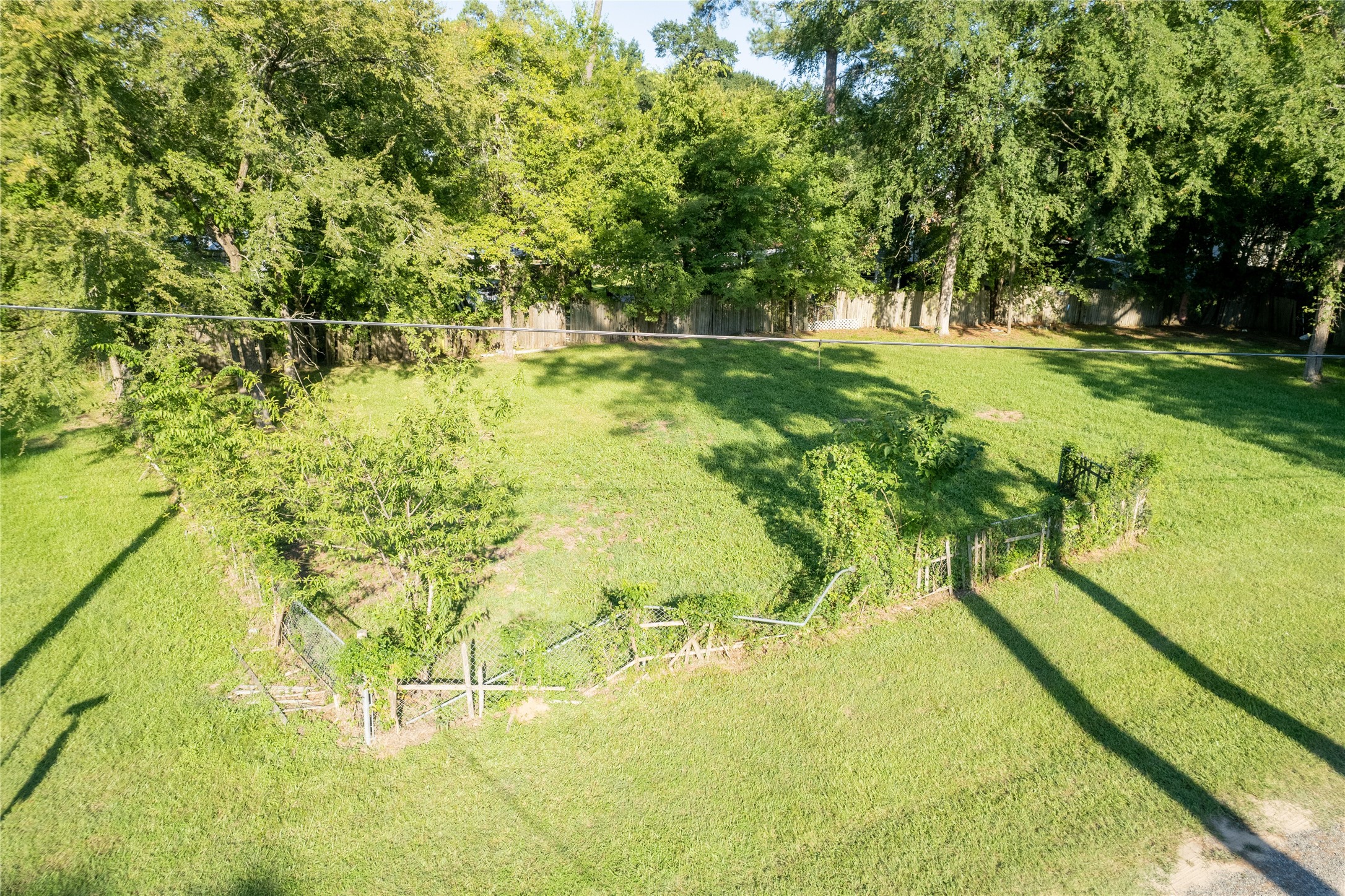 10196 Barberry Street Willis TX 77318