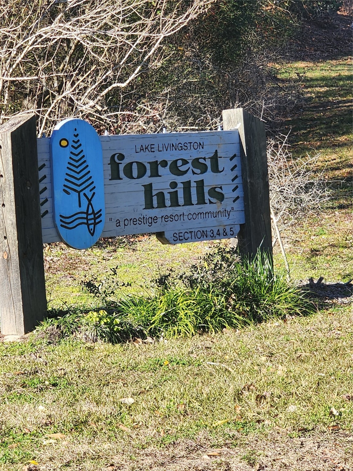 Lot 425 Echo Hills Lane Livingston TX 77351