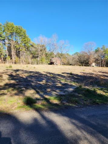 Lot 425 Echo Hills Lane Livingston TX 77351
