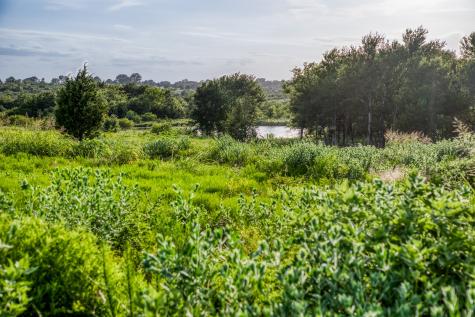 Lot 10 Hargrove Lane Washington TX 77880